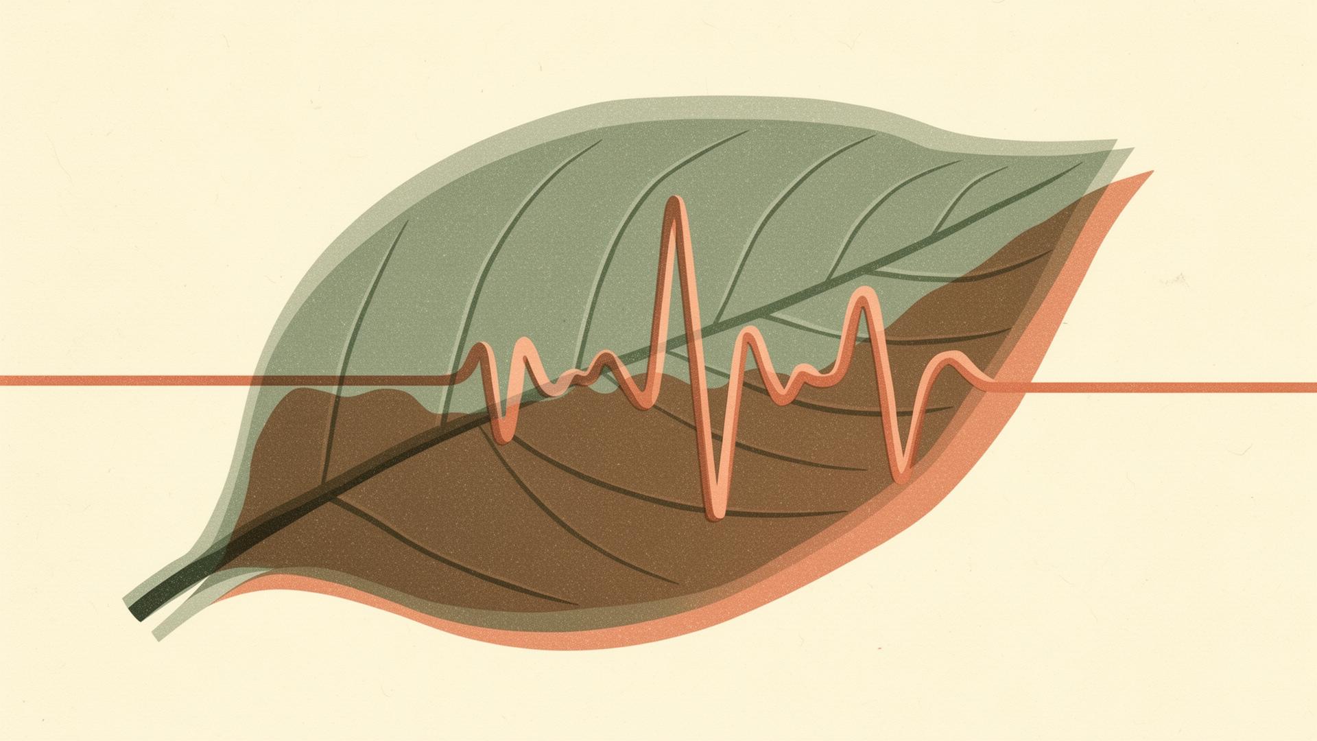 Abstract risograph illustration: layered organic growth shapes representing partnership and expansion